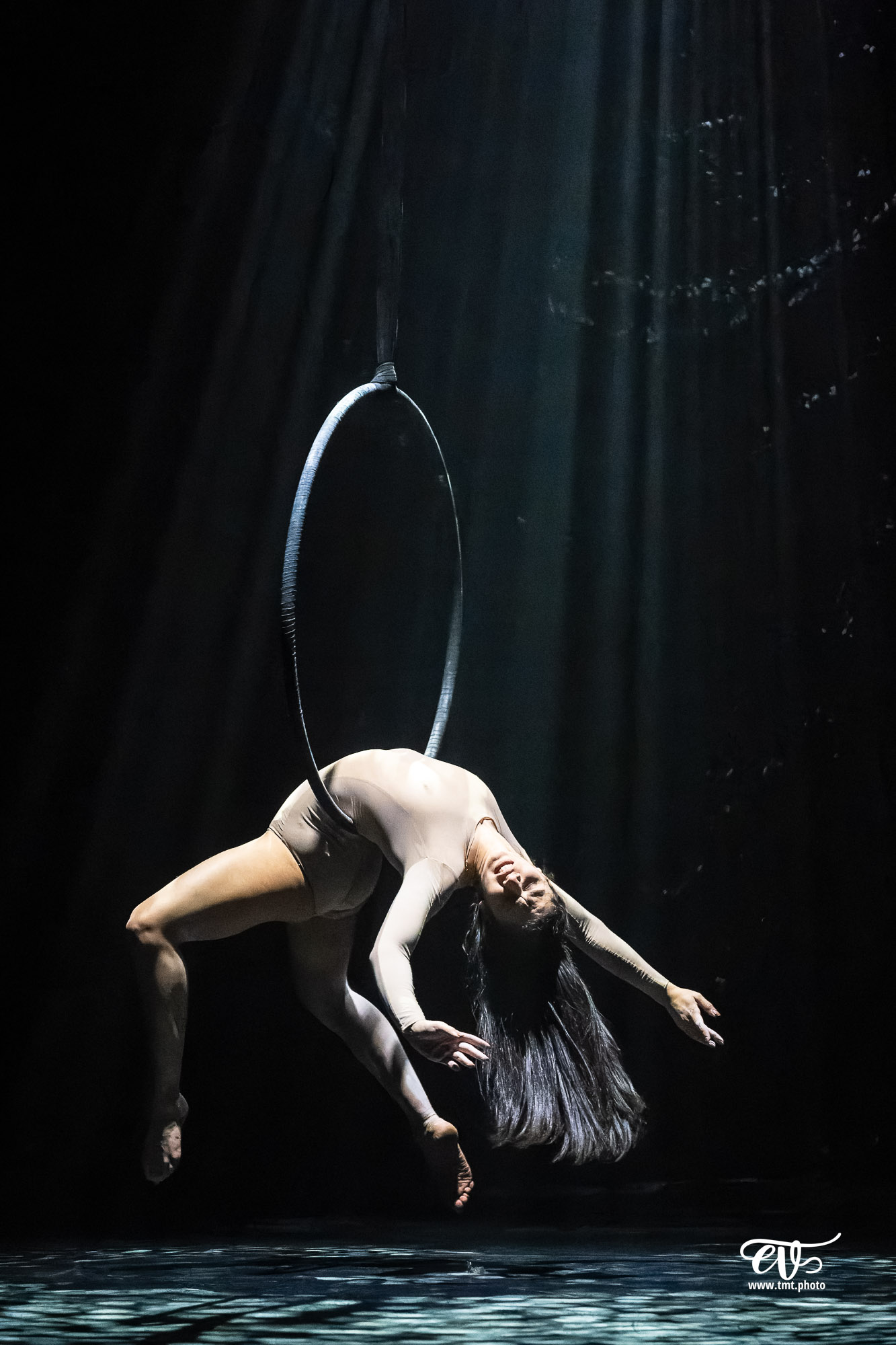 PARADISUM (CIE RECIRQUEL)